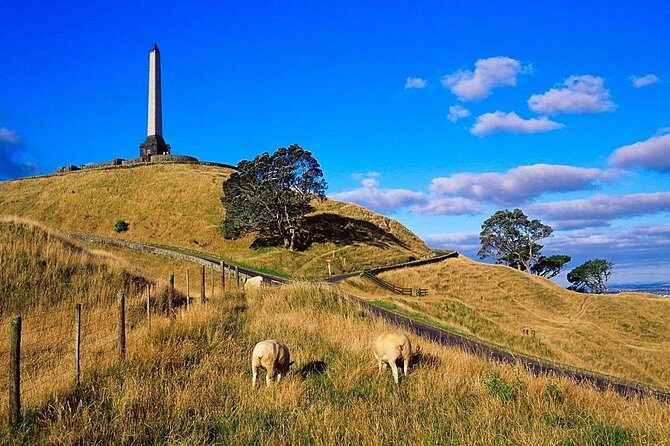 Auckland City Private Tour for Couples. Be chauffeur driven with added extras. - How the 5-hour route works (and how to customize it)