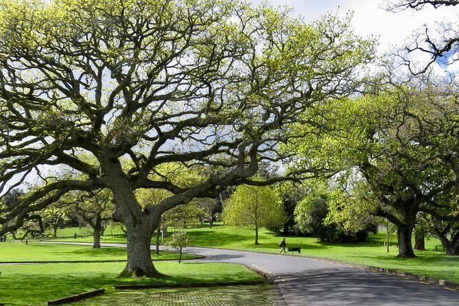 Auckland City Private Tour for Couples. Be chauffeur driven with added extras. - Little Shoal Bay Reserve and Archilles Point: quick hits, big views