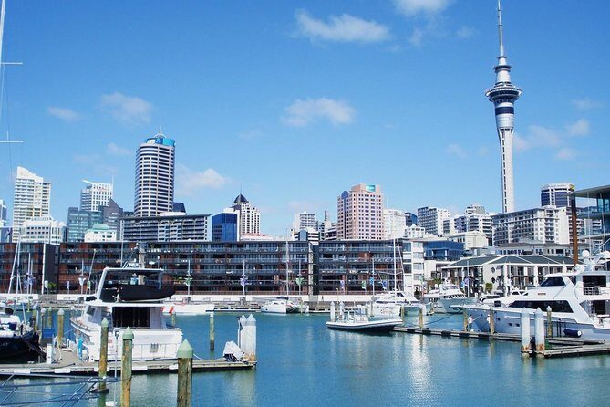 Auckland City Private Tour for Couples. Be chauffeur driven with added extras. - Comfort details that matter when you’re touring as a couple