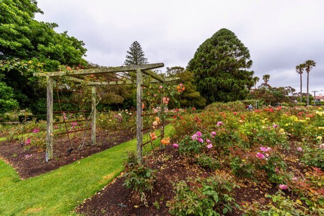 Auckland City Self Guided Walking Tour with an APP - How the app changes the experience (and why that matters)