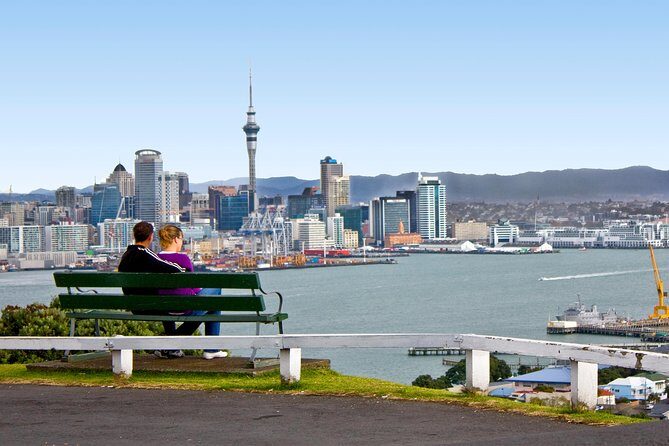 Auckland City Small-Group Morning Discovery Tour - Why a 3-hour Auckland morning loop is actually a smart move