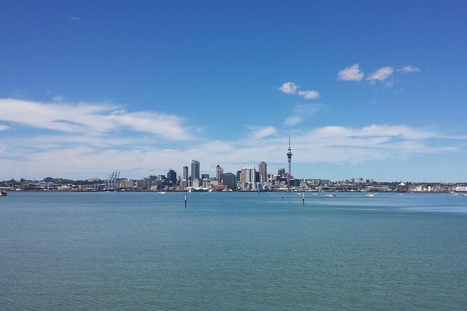 Auckland City Small-Group Morning Discovery Tour - Mount Victoria Reserve: fast ascent, big payoff, and easy viewpoint wins