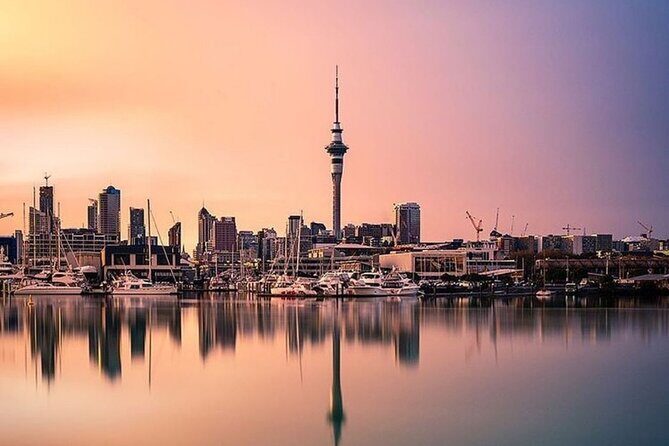 Auckland City Small-Group Morning Discovery Tour - Auckland Domain: crater-park vibes and a stop with options
