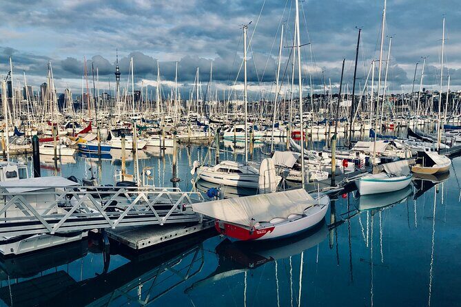 Auckland City Top Sights Half Day Tour - Small Group - Key highlights at a glance