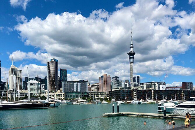 Auckland City Top Sights Half Day Tour - Small Group - A half-day that strings together Auckland’s best viewpoints