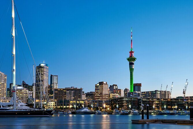 Auckland City Top Sights Half Day Tour - Small Group - Price and what $99.29 covers (and what it doesn’t)