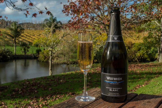 Auckland City Tour & Kumeu Wine Country Includes Wine Tastings & Lunch - Key things to know before you go