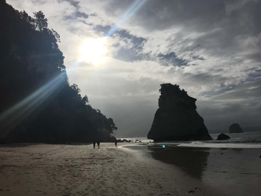 Auckland: Coromandel Day Tour including Hot Water Beach - Auckland to Coromandel in one shot: why this day tour works