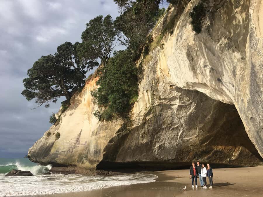 Auckland: Coromandel Day Tour including Hot Water Beach - Driving Creek Railway and Eyefull Tower: the best kind of scenery break