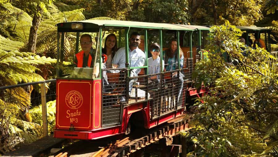 Auckland: Coromandel Driving Creek & Cathedral Cove Day Tour - Key highlights worth waking up for