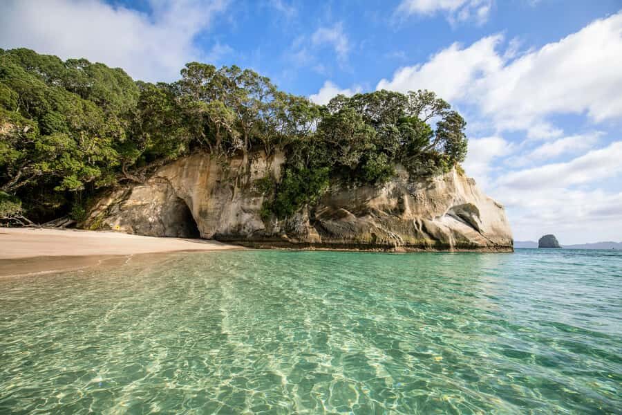 Auckland: Coromandel Driving Creek & Cathedral Cove Day Tour - Leaving Auckland: the 6:15 AM start and why it works