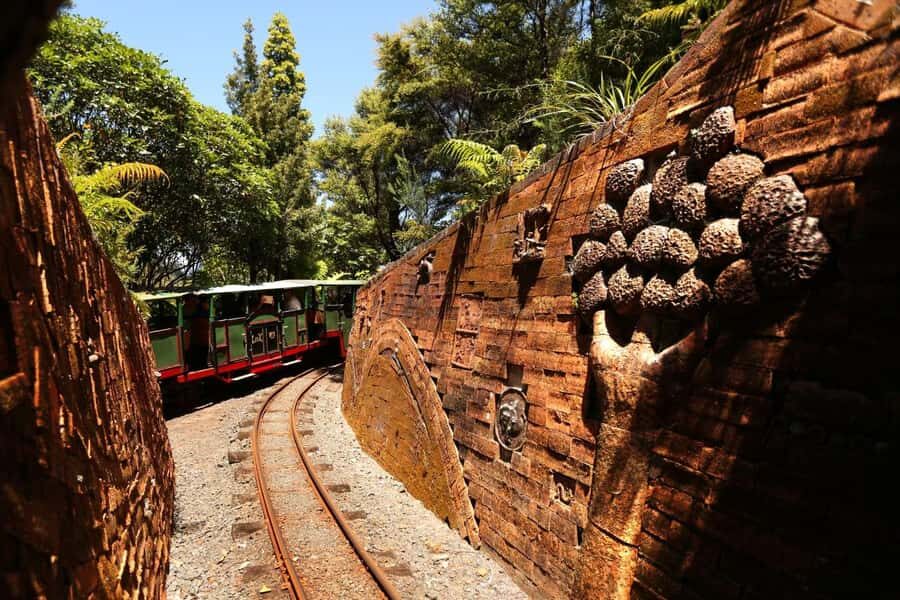 Auckland: Coromandel Driving Creek & Cathedral Cove Day Tour - Driving Creek Railway: narrow-gauge charm with real engineering