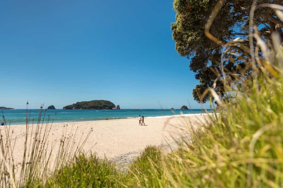 Auckland: Coromandel Driving Creek & Cathedral Cove Day Tour - Whitianga break and Lost Spring thermal pools timing