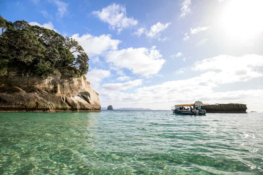 Auckland: Coromandel Driving Creek & Cathedral Cove Day Tour - Price and value: what $298 buys you