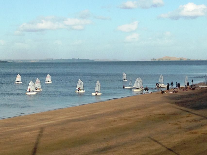Auckland: Devonport Waterfront Segway - Should You Book the Auckland: Devonport Waterfront Segway?
