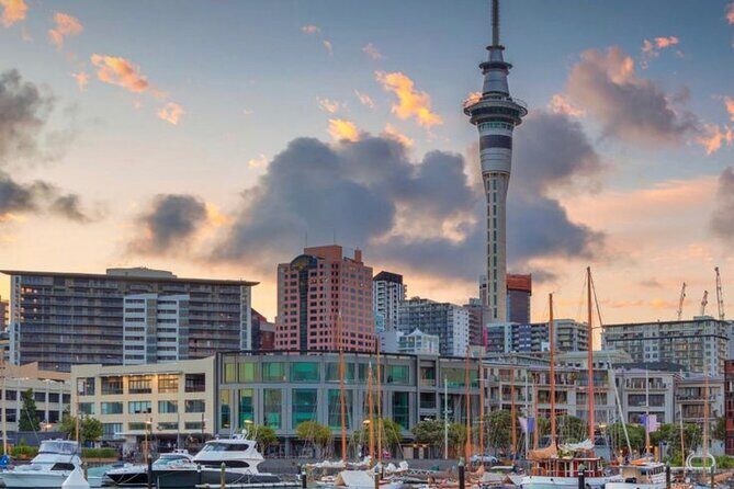 Auckland Downtown Hotel Transfers to/from Cruise Ship in Minivan - Who This Transfer Is Best For