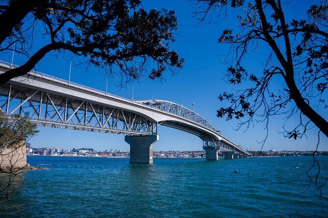 Auckland Full Day Attractions & Museums Tour - A 7-Hour Auckland Hit List That Feels Like a Personal Day