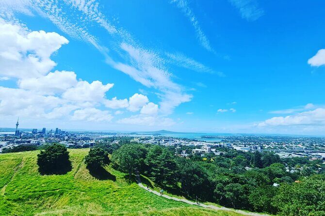 Auckland Full Day Attractions & Museums Tour - Stop 1: Auckland Harbour Bridge for Fast City Orientation