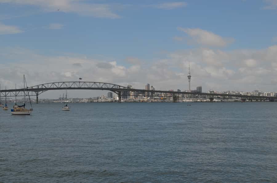 Auckland: Full-Day City Highlights Tour - Hotel pickup in the morning, then a small-vehicle day that keeps you flexible