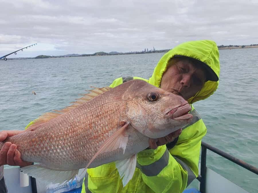 Auckland: Full-Day Fishing Charter (7 am - 4 pm) - Gear, bait, and the small choices that make or break your day