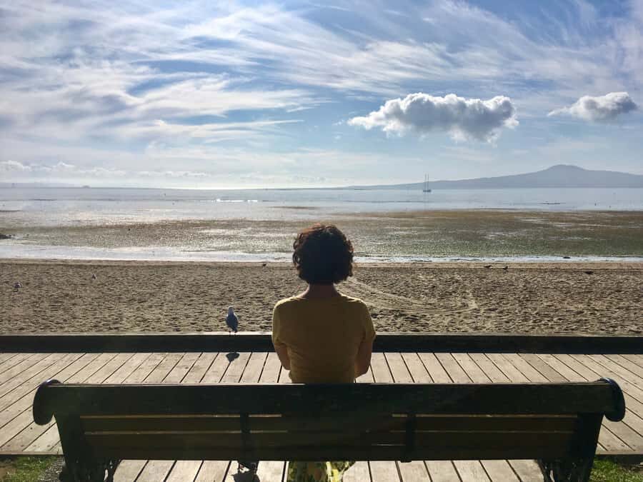 Auckland: Half-Day Auckland Volcanoes Tour - Achilles Point: a quick scenic breather before the climbs