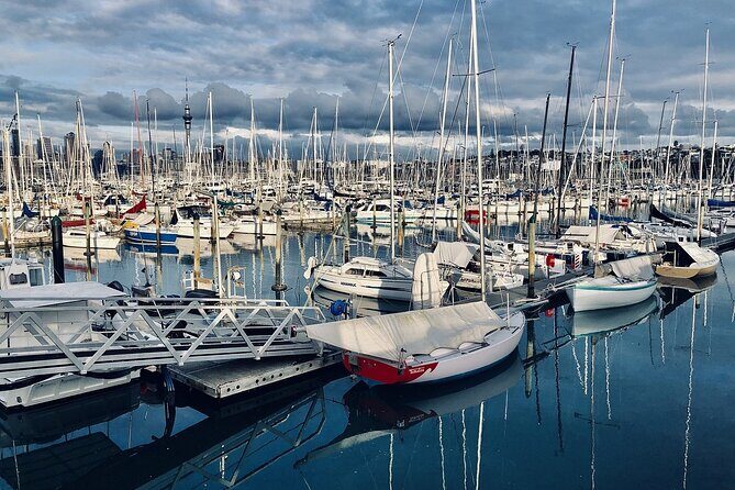 Auckland Half Day City Tour - Heart of Auckland - The Comfort Factor: Pickup, Small Group Size, and On-the-Road WiFi
