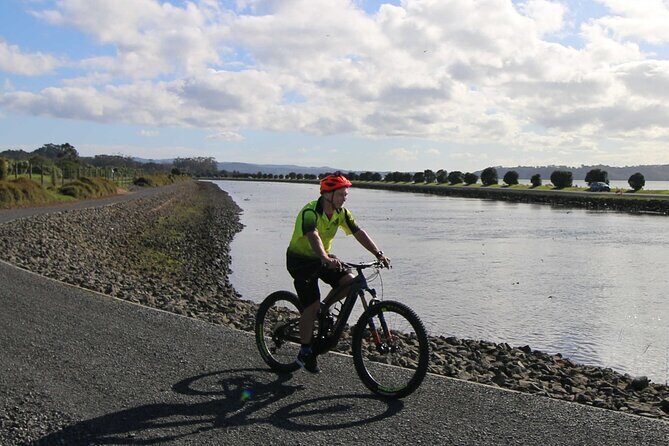 Auckland Half Day E-Bike Excursion - The real appeal of 3.5–4 hours in Auckland Central