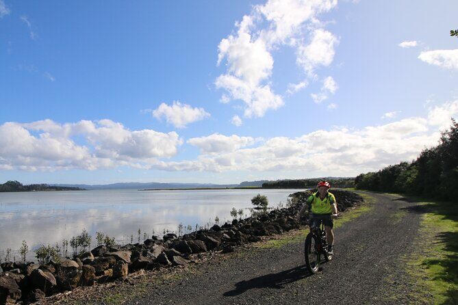Auckland Half Day E-Bike Excursion - Stop 1: Auckland waterfront and riding under the harbour bridge