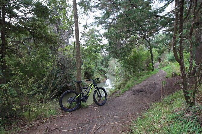 Auckland Half Day E-Bike Excursion - Western Springs Lakeside Park: a lake loop with transport culture