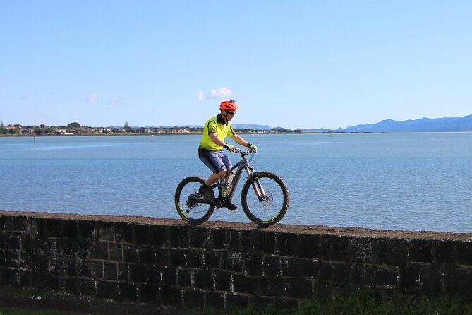 Auckland Half Day E-Bike Excursion - Te Atatu peninsula: easy pathways and coffee-time breaks