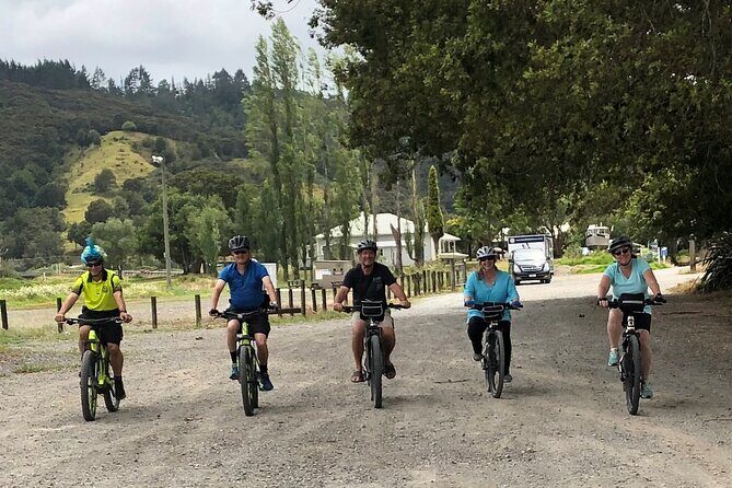 Auckland Half Day E-Bike Excursion - Henderson waterfront riding: Henderson River, Opunuku stream, and the North-Western cycleway