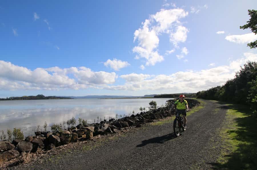 Auckland Half-Day Ebike Tour Excursion - Key highlights you’ll feel on the ride