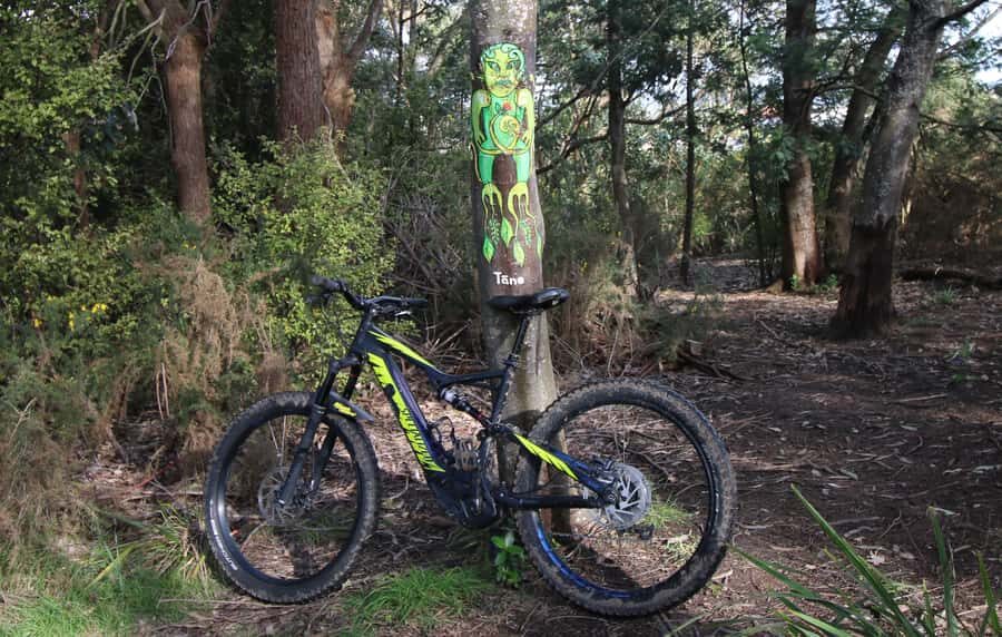 Auckland Half-Day Ebike Tour Excursion - Starting at 136 Fanshawe St: waterfront and the Harbour Bridge approach