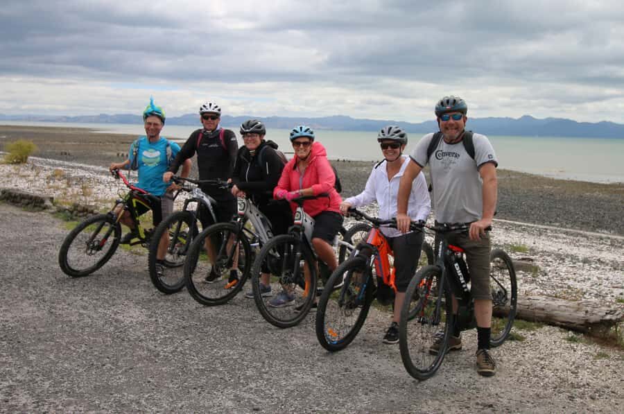 Auckland Half-Day Ebike Tour Excursion - Meola Reserve and Te Atatu Peninsula: the viewpoint payoff
