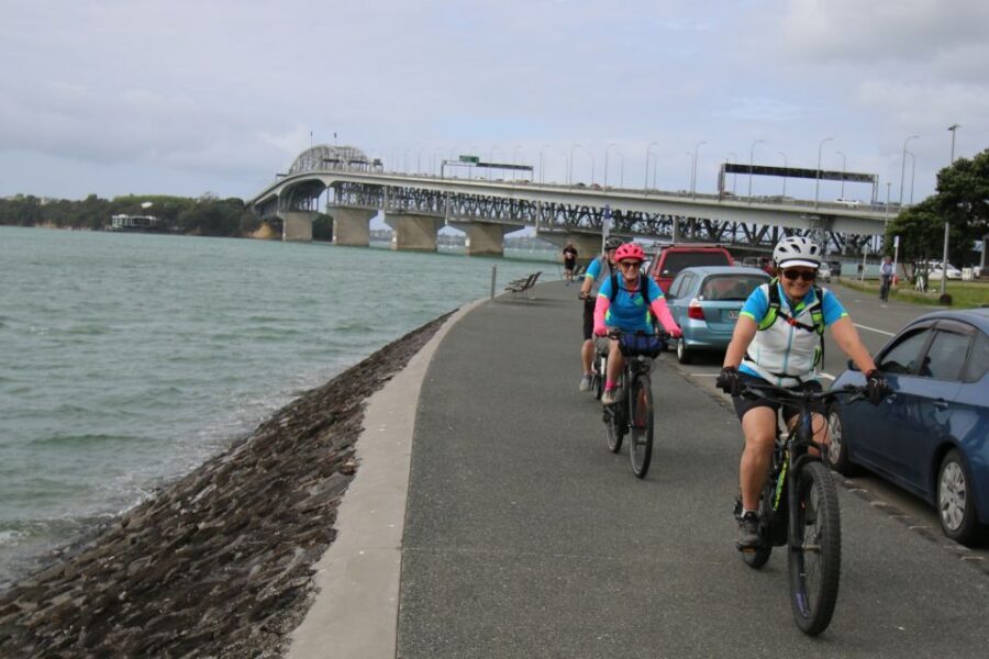 Auckland Half-Day Ebike Tour Excursion - Western suburbs back pathways: the relaxed way to see real neighborhoods