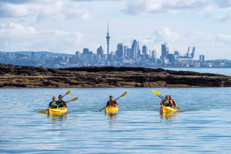 Auckland: Half-Day Sea Kayak Tour to Motukorea Island - Key highlights at a glance