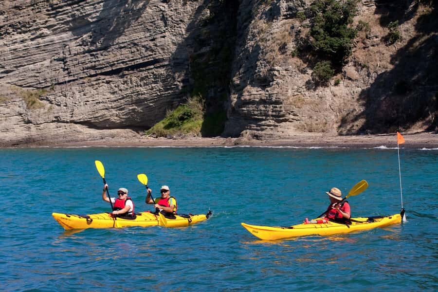 Auckland: Half-Day Sea Kayak Tour to Motukorea Island - Why Motukorea feels special (even before you paddle)
