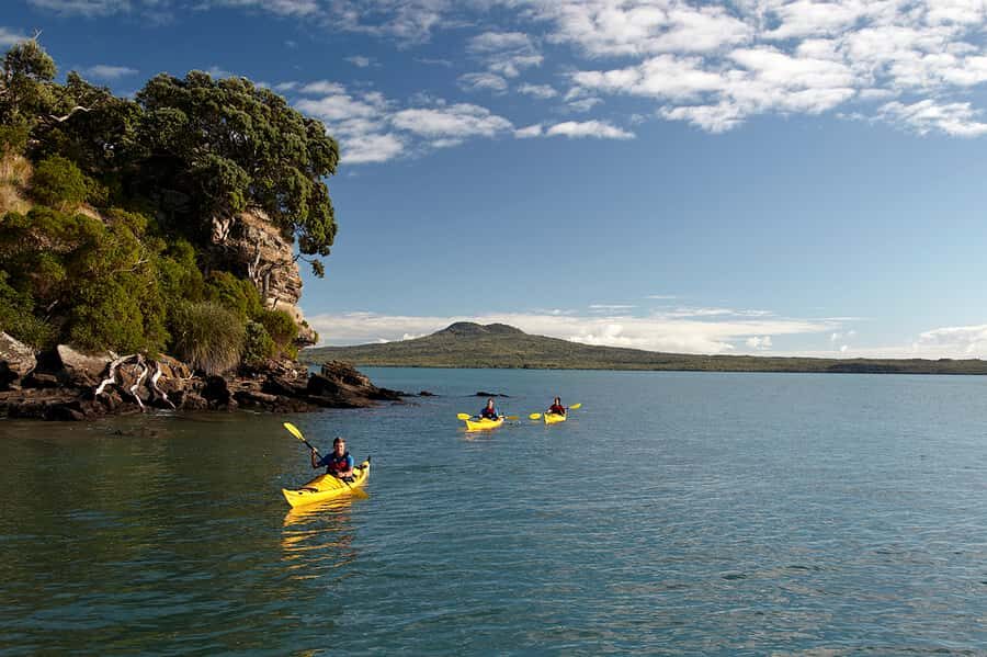 Auckland: Half-Day Sea Kayak Tour to Motukorea Island - Where you meet and how pickup works at Auckland Atrium