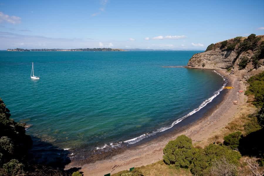 Auckland: Half-Day Sea Kayak Tour to Motukorea Island - The 270 minutes: what the day actually feels like