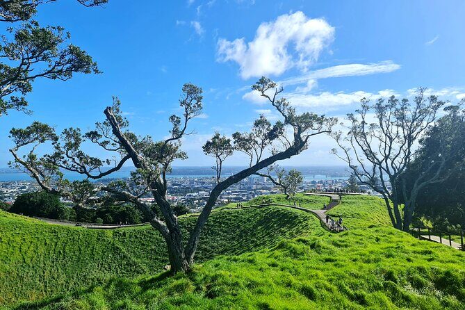 Auckland Hidden Gem Half Day Tour - Why This Tour Works When You Only Have a Few Hours