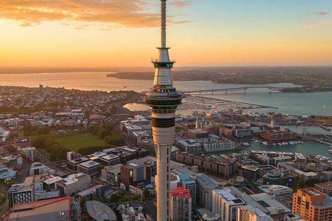 Auckland Highlight Attractions Small Group Tour - A half-day that targets Auckland’s best photo angles
