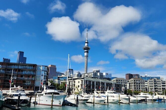 Auckland Highlights Full Day Guided Tour - Key highlights you’ll notice fast