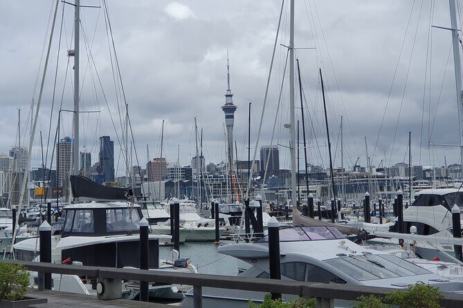 Auckland Highlights Full Day Guided Tour - A private 8-hour Auckland route that actually feels like a day