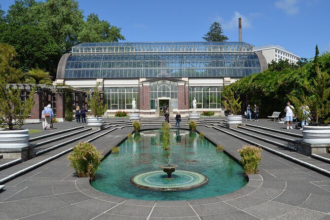 Auckland Highlights Full Day Guided Tour - Piha Beach and Lion Rock: the black sand payoff