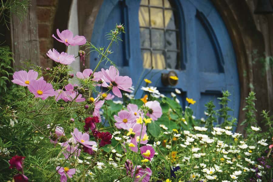 Auckland: Hobbiton and Rotorua Day Tour including Te Puia - Auckland to Waikato farms: the minibus rhythm you’ll feel all day