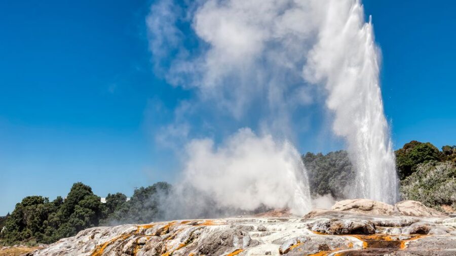 Auckland: Hobbiton and Rotorua Day Tour including Te Puia - Timing and pacing: what makes the day feel smooth (or tight)