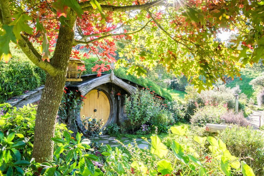 Auckland: Hobbiton Movie Set Tour with Lunch - Shire’s Rest to the Shire: your guided walk through Middle-earth