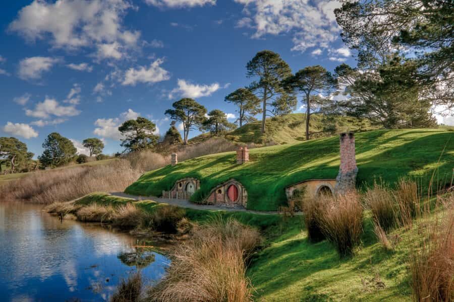 Auckland: Hobbiton Movie Set Tour with Lunch - Group size and comfort: max 18 per vehicle, bigger groups on-site