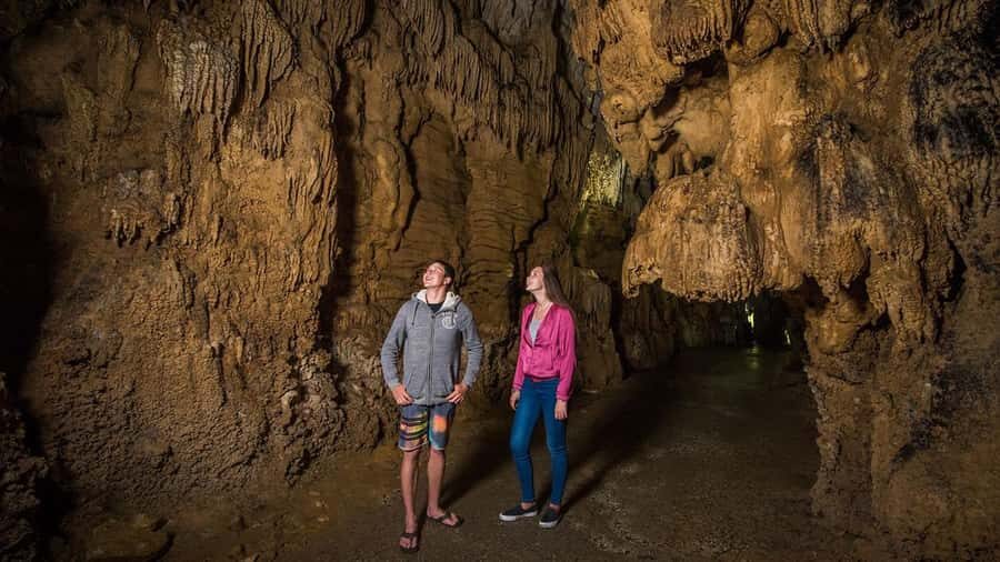 Auckland: Hobbiton, Waitomo Caves, and Rotorua 1-Way Tour - Arrival in Rotorua: A Focused 20-Minute City Hit List