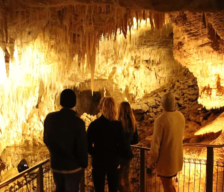 Auckland: Hobbiton & Waitomo Glow Worm Caves Private Tour - Price and logistics: is $591 worth it?